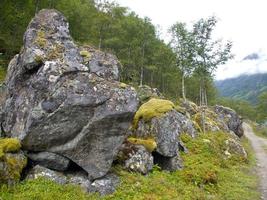 the fjords of norway photo