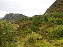 fjords of norway photo