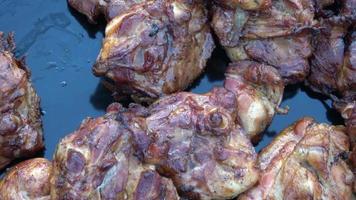 sabrosa y picante carne de pollo a la parrilla con especias. video