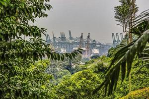 View on Singapore harbor from Mount Faber Park during daytime photo