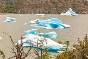 imagen panorámica sobre lago grey con icebergs en el parque nacional torres del paine en patagonia en verano foto