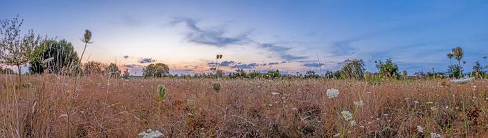 vista panorámica sobre la huerta del prado en otoño en Alemania foto