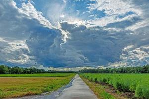imagen de un camino de tierra a través de un campo de espárragos con formaciones de nubes dramáticas de una tormenta que se aproxima foto