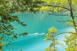 Picture of pretty Weissensee lake in Austria in summer photo