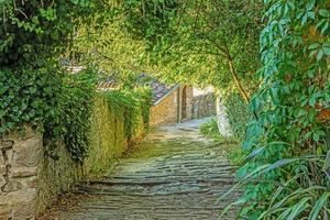 imagen de una romántica calle adoquinada cubierta de árboles y hojas en la ciudad medieval de motovun en el centro de istria durante el día foto