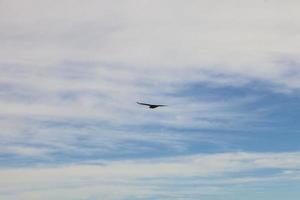 Image of a partly cloudy and partly clear sky during the day photo