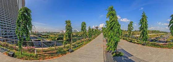 vista panorámica sobre los jardines del parque junto a la bahía en Singapur con cielo despejado foto