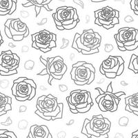 Roses drawing seamless pattern on transparent background vector