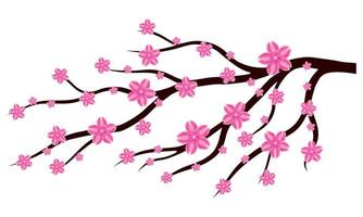 Sakura or cherry blossom flower branch on white background. Design ornament for printing on cards, invitations vector