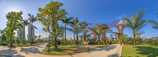 vista panorámica sobre los jardines del parque junto a la bahía en Singapur con cielo despejado foto