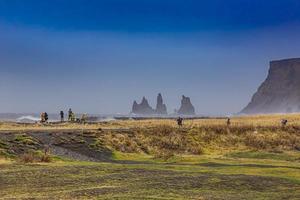 View on Vik black beach on Iceland at a stormy day in winter during daytime photo