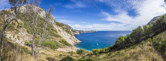 Panoramic picture of lovely Platja des Coll Baix on Mallorca island photo