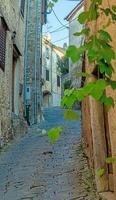 imagen de la romántica carretera empedrada de acceso al centro histórico de la ciudad croata de motovun foto