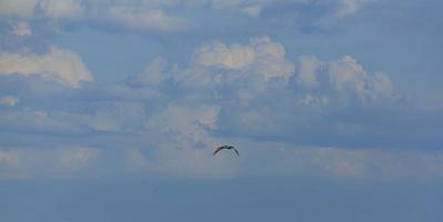 Image of a partly cloudy and partly clear sky during the day photo