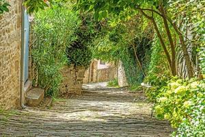 Picture of a romantic cobblestone street overgrown with trees and leaves in the medieval town of Motovun in central Istria during the day photo