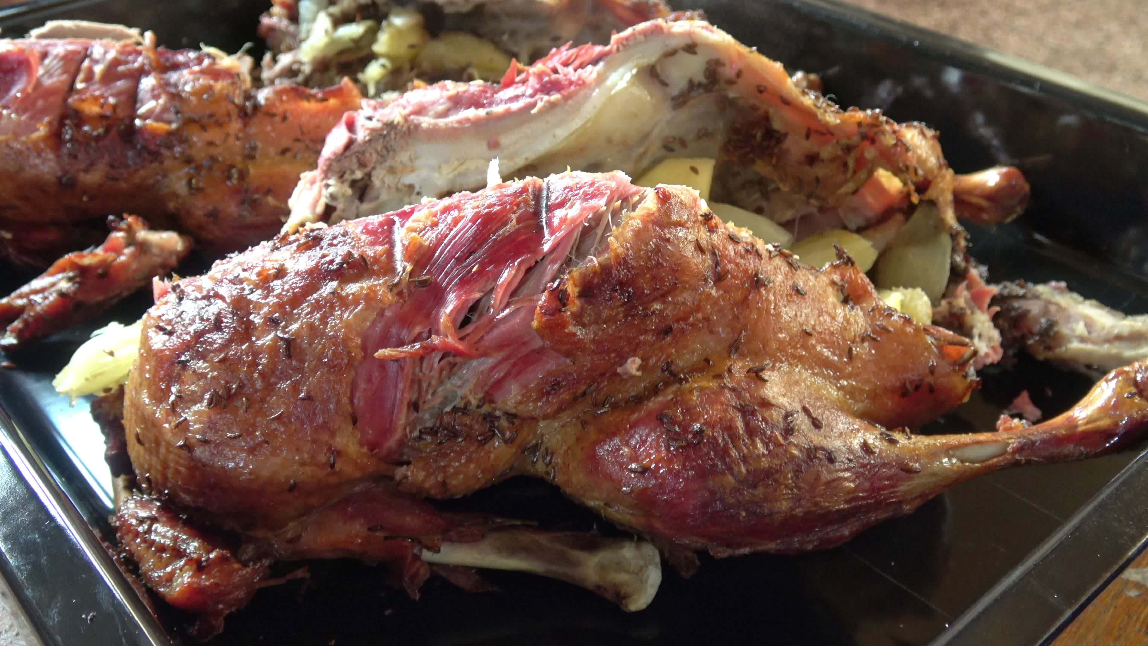 Crispy roasted duck in in roasting pan ready for serving 17096543 Stock