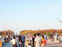 Samutprakarn, Thailand December 29, 2022 People visit and feed a flock of migrating seagulls in the evening at Bang Pu Station, Samut Prakan. photo