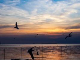 bandada de pájaros vuela sobre la superficie del mar. pájaro volando de regreso a anidar en el mar natural y el fondo del cielo dorado durante la hermosa puesta de sol. foto