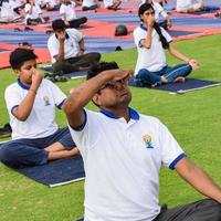 New Delhi, India, June 21 2022 - Group Yoga exercise session for people at Yamuna Sports Complex in Delhi on International Yoga Day, Big group of adults attending yoga class in cricket stadium photo