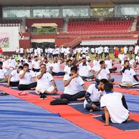 nueva delhi, india, 21 de junio de 2022 - sesión grupal de ejercicios de yoga para personas en el complejo deportivo yamuna en delhi el día internacional del yoga, gran grupo de adultos que asisten a clases de yoga en el estadio de cricket foto