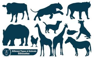 Collection of  Animals silhouettes Vector
