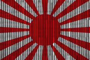 Flag of the Imperial Japanese Army on the texture. Concept collage. photo