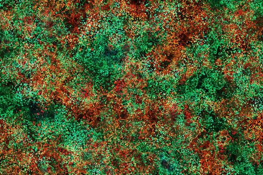 Abstract Liquid Wavy Background.Colorful Texture Surface Design.Abstract Holographic Background,Abstract Gradient Texture Background,Geometric Background,Digital Painted Watercolor texture photo