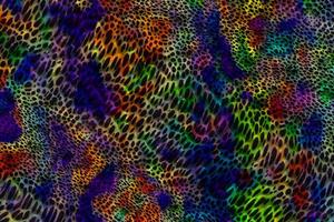 Abstract geometric background,Colorful geometric surface design,Holographic texture background,Multicolor gradient texture,Abstract marble liquid background,Multicolor glossy liquid texture photo