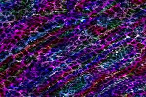 Abstract geometric background,Colorful geometric surface design,Holographic texture background,Multicolor leopard gradient texture,Abstract marble liquid background,Multicolor glossy liquid texture photo