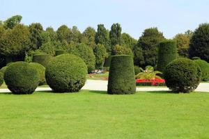 Travel to Vienna, Austria. The element of landscape design in the park. photo