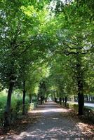 Travel to Vienna, Austria. The view on the park with big trees and a road in the autumn sunny day. photo