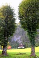 viaje a sankt-wolfgang, austria. los altos árboles verdes en el prado verde con una casa y montañas al fondo en el día soleado. foto