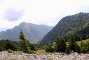 viaje a sankt-wolfgang, austria. la vista sobre el bosque verde con las montañas al fondo. foto