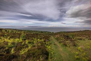 el paisaje natural de cornualles, inglaterra. foto