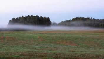 Latvian summer landscapes photo