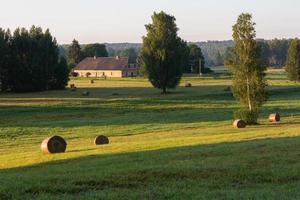 Latvian summer landscapes photo