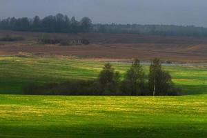 Latvian Springtime Landscapes photo