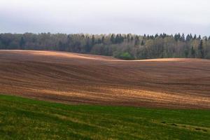 Latvian Springtime Landscapes photo