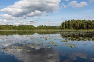 Latvian lake landscapes in summer photo