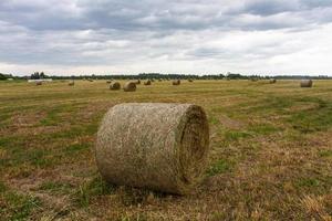 Latvian summer landscapes with hay rolls photo