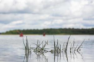 Landscapes of Latvia in Summer photo