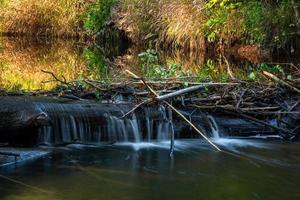 pequeño río forestal en verano con fondo verde foto