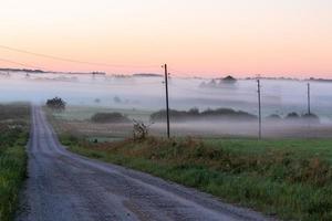 Latvian summer landscapes photo