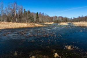 Latvian Springtime Landscapes photo