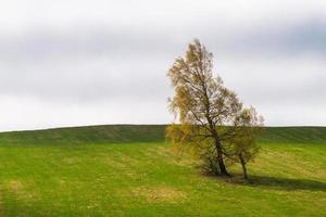 paisajes de primavera de letón foto