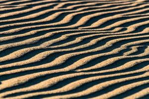 Patterns in the Sea Sand at Sunset photo