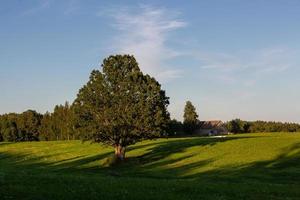 paisajes de verano de Letonia foto