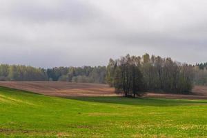 Latvian Springtime Landscapes photo