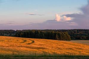 Landscapes of Latvia in Summer photo