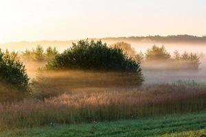 Latvian summer landscapes photo